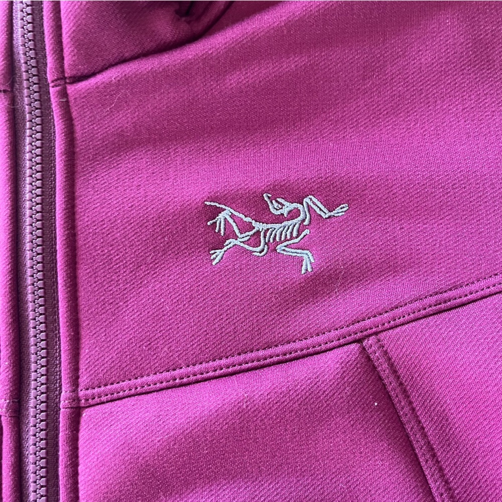Arc'teryx Arenite Hooded Fleece Softshell Jacket - Picture 6 of 15
